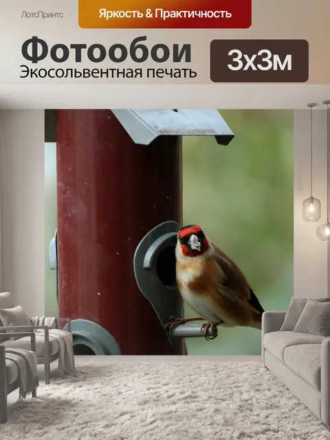 Фотообои Щегол