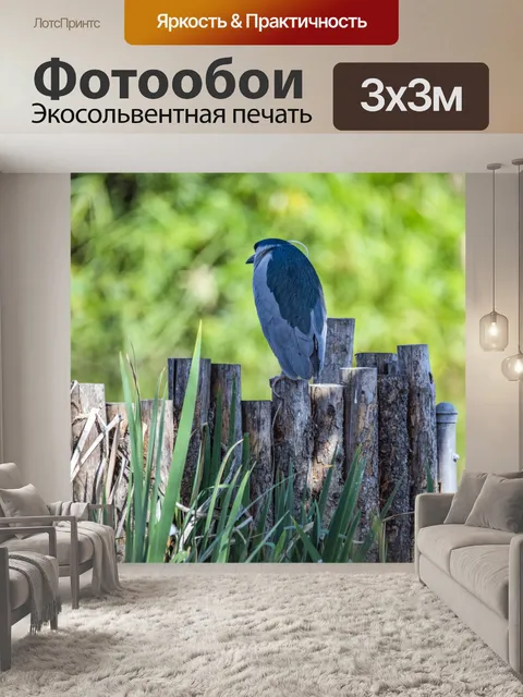 Фотообои Ночная цапля