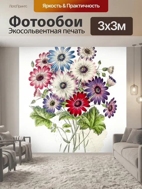 Фотообои цветы хризантемы