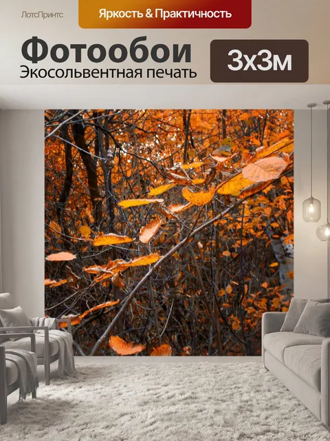 Фотообои лес
