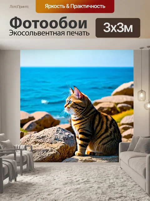 Фотообои кошка, наблюдающая за морем с прибрежных камней