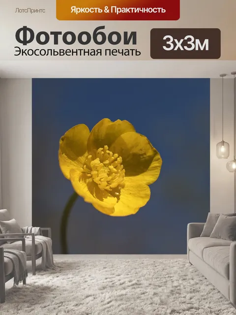 Фотообои Цветок