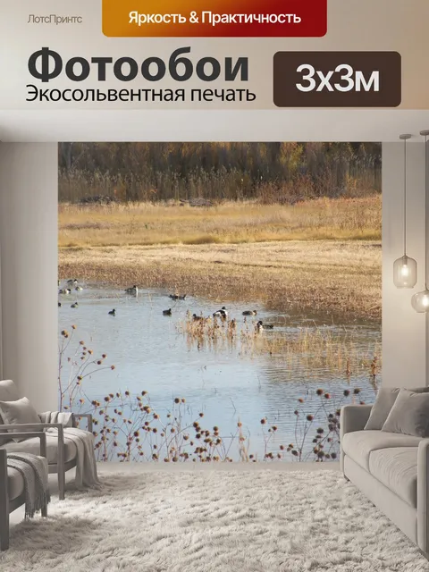 Фотообои Смешанная стая диких уток