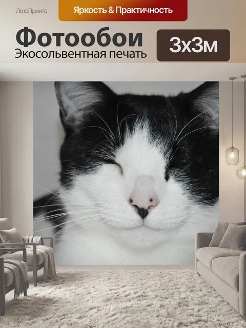 Фотообои Домашний питомец