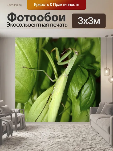 Фотообои Производить