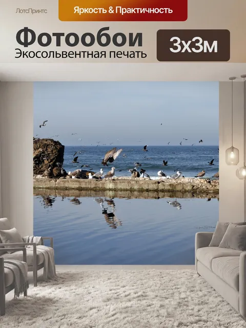 Фотообои Чайки в Sutro Руины