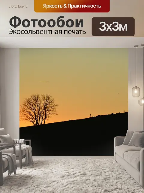 Фотообои Черный лес