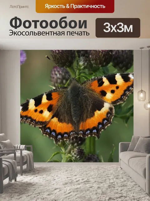 Фотообои Бабочка