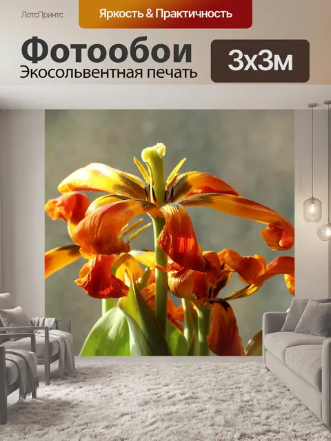 Фотообои Цветы