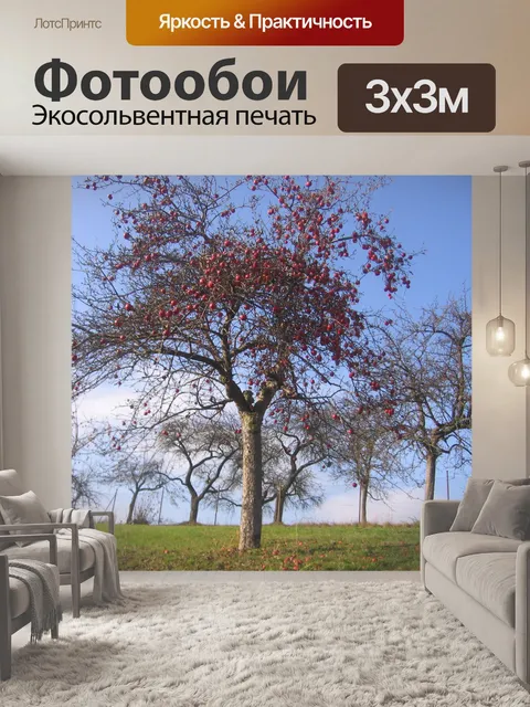 Фотообои Яблоня осенью