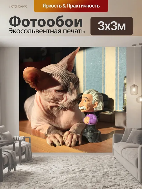 Фотообои Кот