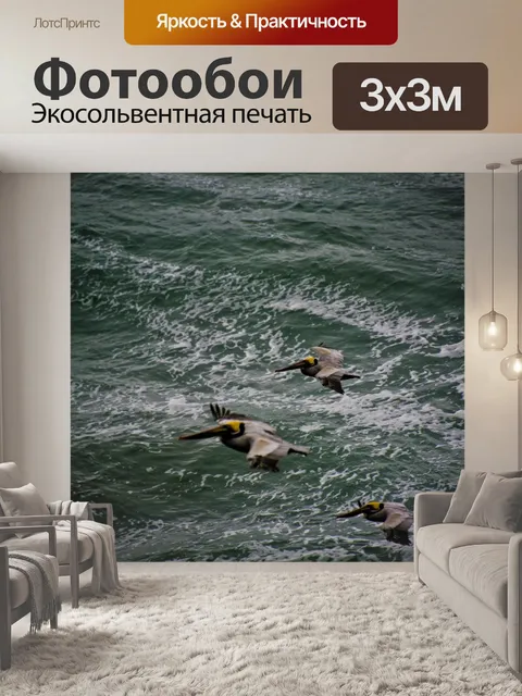 Фотообои Три Летающие коричневых пеликанов