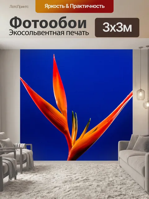 Фотообои Стрелиция
