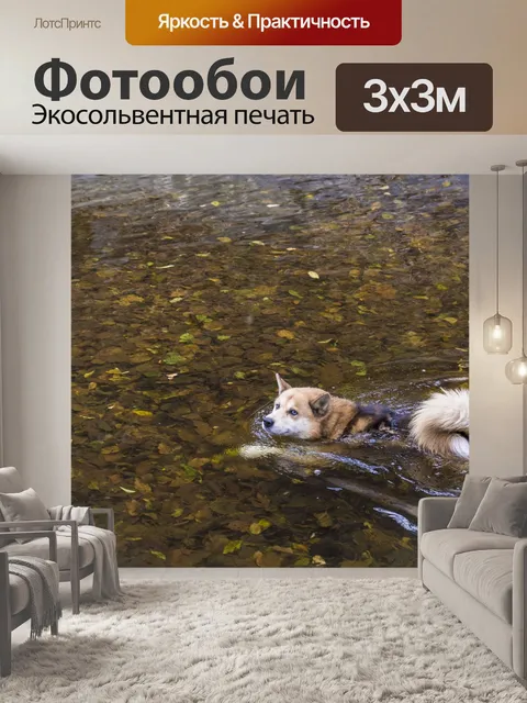 Фотообои Собака
