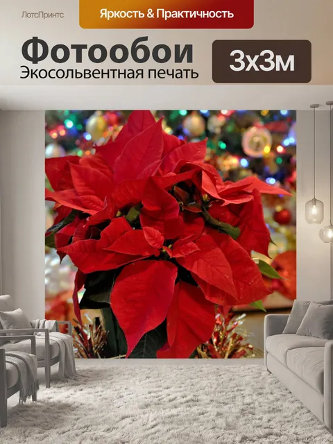Фотообои Пуансеттия и рождественские подарки