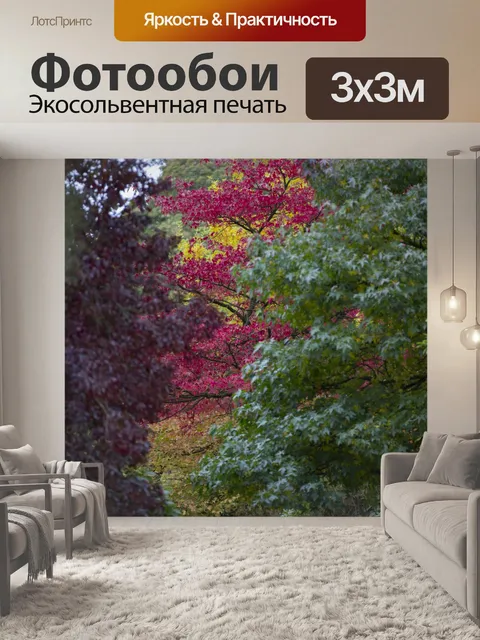 Фотообои осень