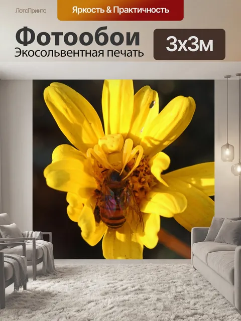 Фотообои пчела в хватке паука желтого краба