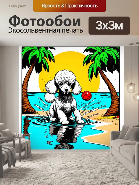 Фотообои забавный пудель на пляже, играющий с мячом и прыскающий в воде