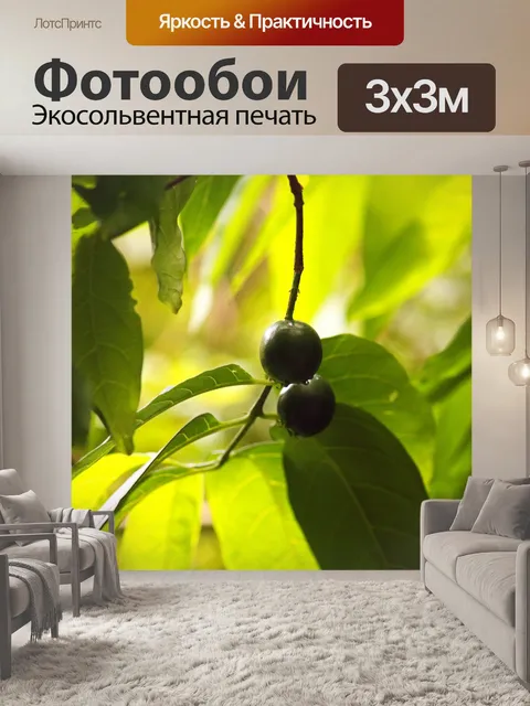 Фотообои круглые зеленые ягоды на дереве