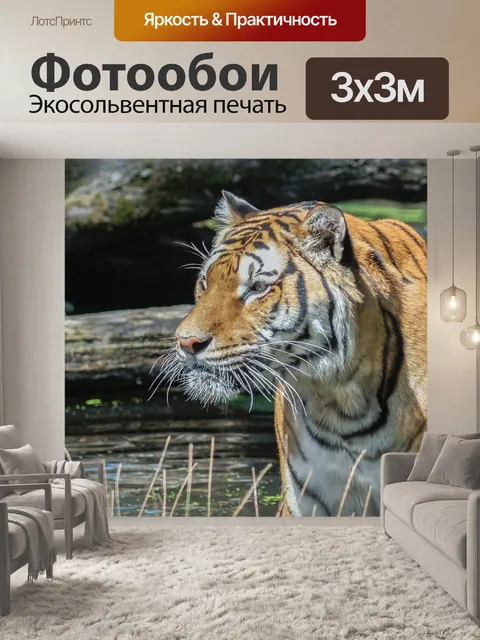 Фотообои Тигр