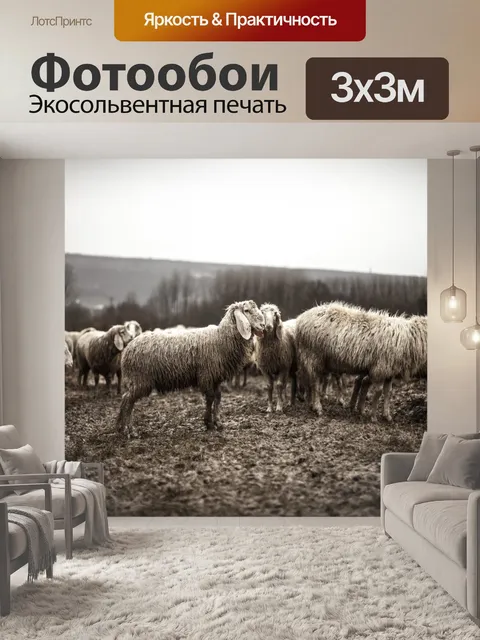 Фотообои Овцеводческий стад