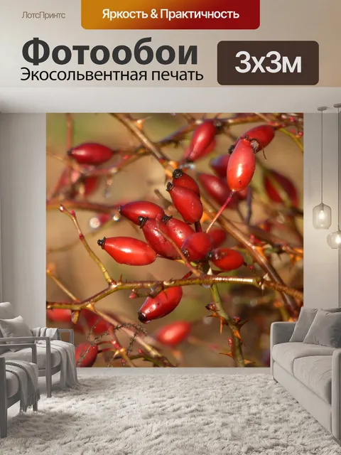 Фотообои Дикие розы