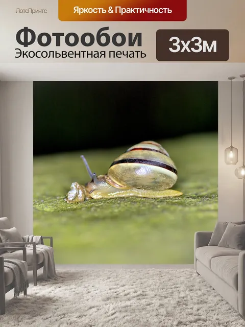 Фотообои Улитка