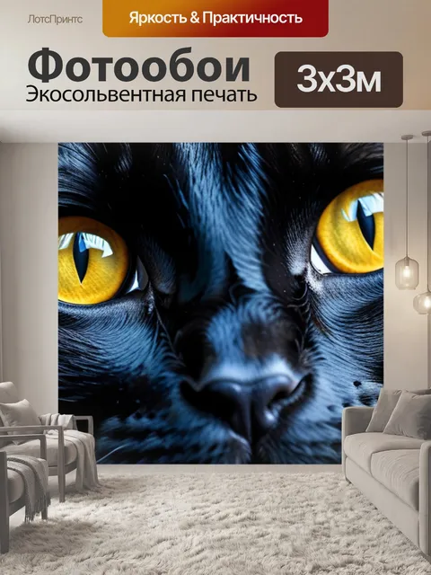 Фотообои с черным котом красивый