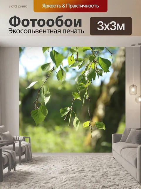 Фотообои Береза