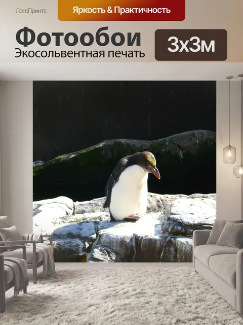 Фотообои Пингвин