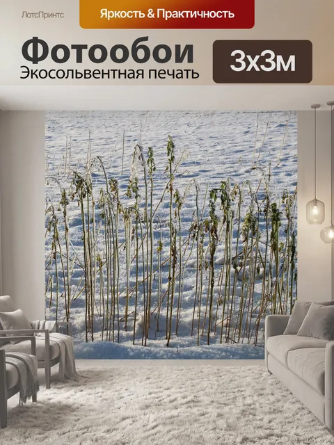 Фотообои Зима