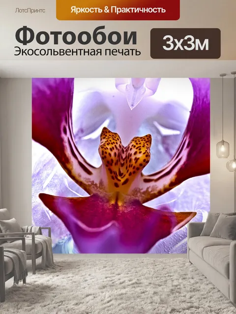 Фотообои Орхидея