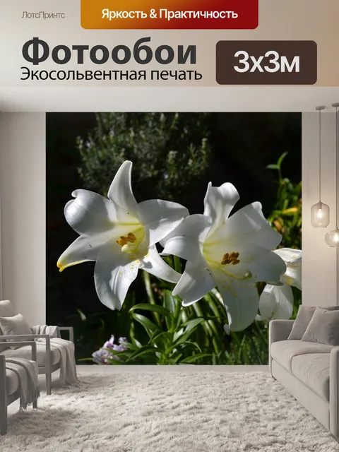 Фотообои Лили