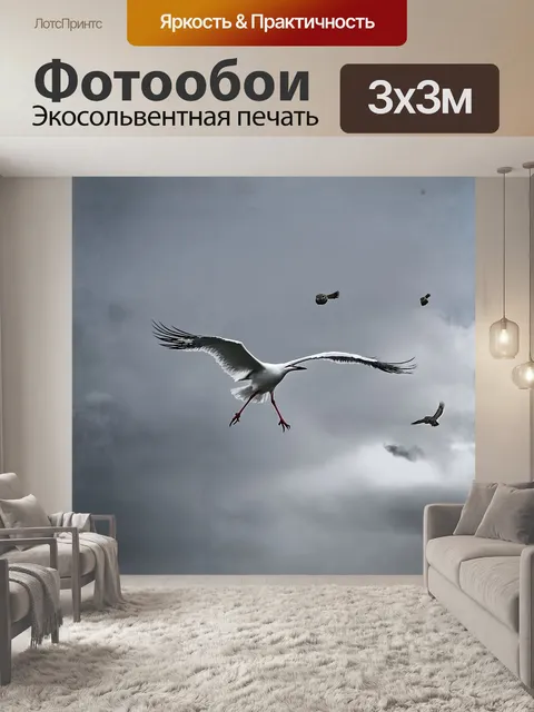 Фотообои в облаках рано утром, исполинский белоног взмывает в небеса, его изящные крылья расправлены