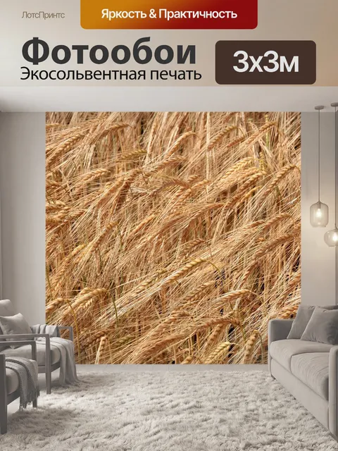 Фотообои Зерно