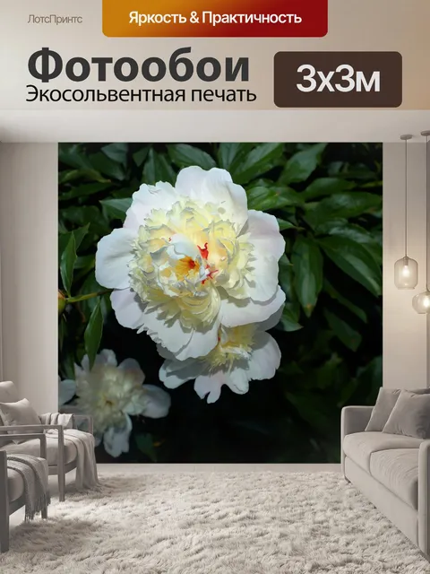 Фотообои Пион
