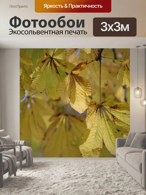 Фотообои Листья