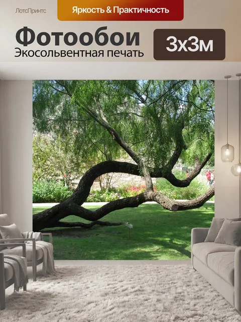 Фотообои Аламо