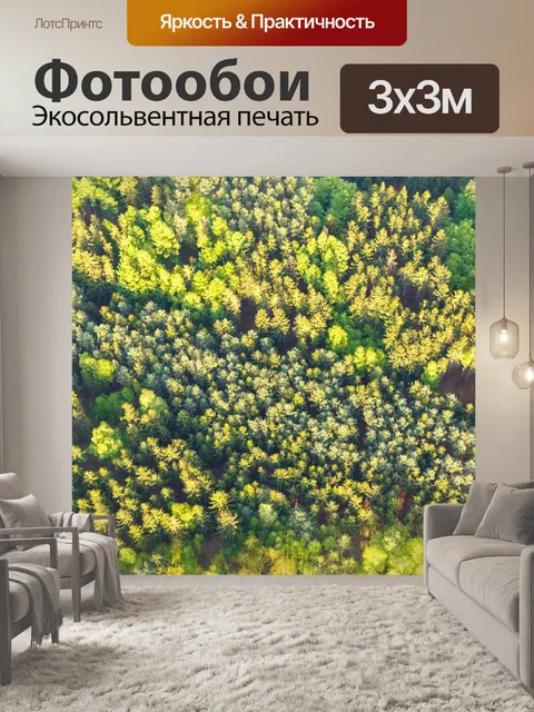 Фотообои Воздушные верхушки деревьев