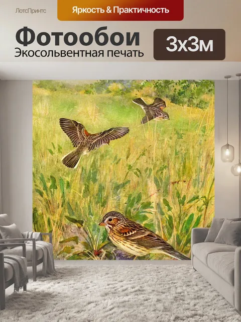 Фотообои Картина Веспер Воробей Птица