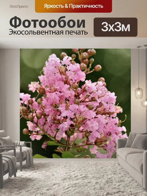 Фотообои Розовый Креп Миртл с Боке