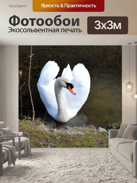 Фотообои Белый лебедь