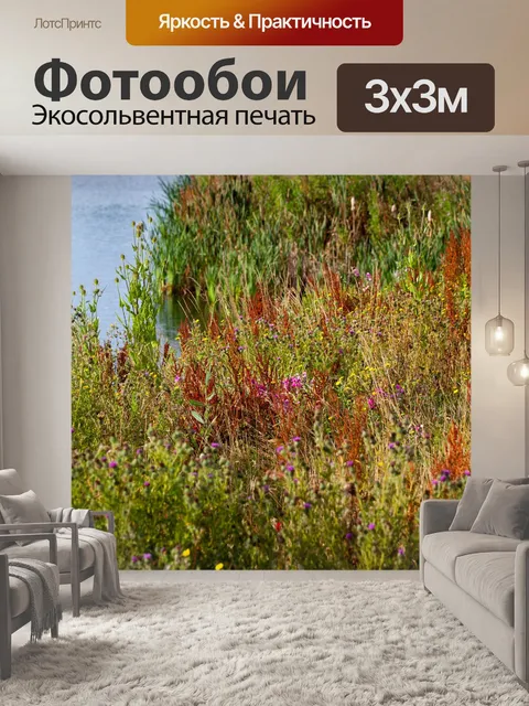 Фотообои Берег реки