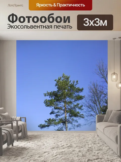 Фотообои Дерево