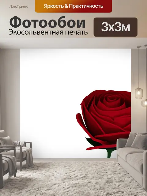 Фотообои Роза