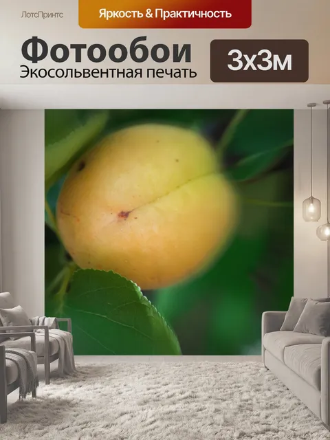 Фотообои эффект увеличения зума на абрикос