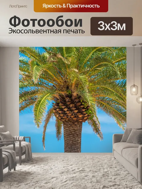 Фотообои Пальмы и голубое небо
