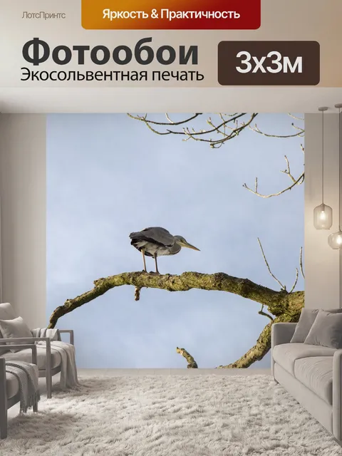 Фотообои Большая голубая цапля