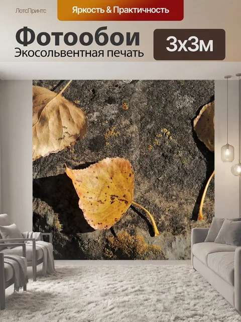 Фотообои Рок