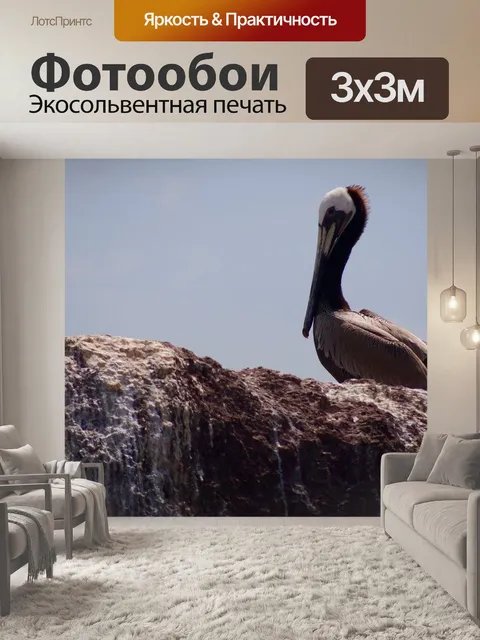Фотообои Пеликан